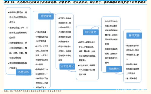 創(chuàng)造營2021 一次偶像產(chǎn)業(yè)的技術(shù)換市場策略分析